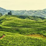 NGẮM “MÙA THU VÀNG LEVITAN” TRÊN DU THUYỀN
