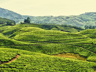 Mộc Châu – Sơn La, Việt Nam